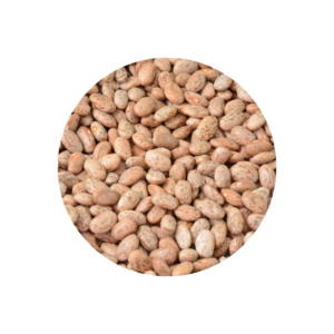 Pinto  Beans  Bag