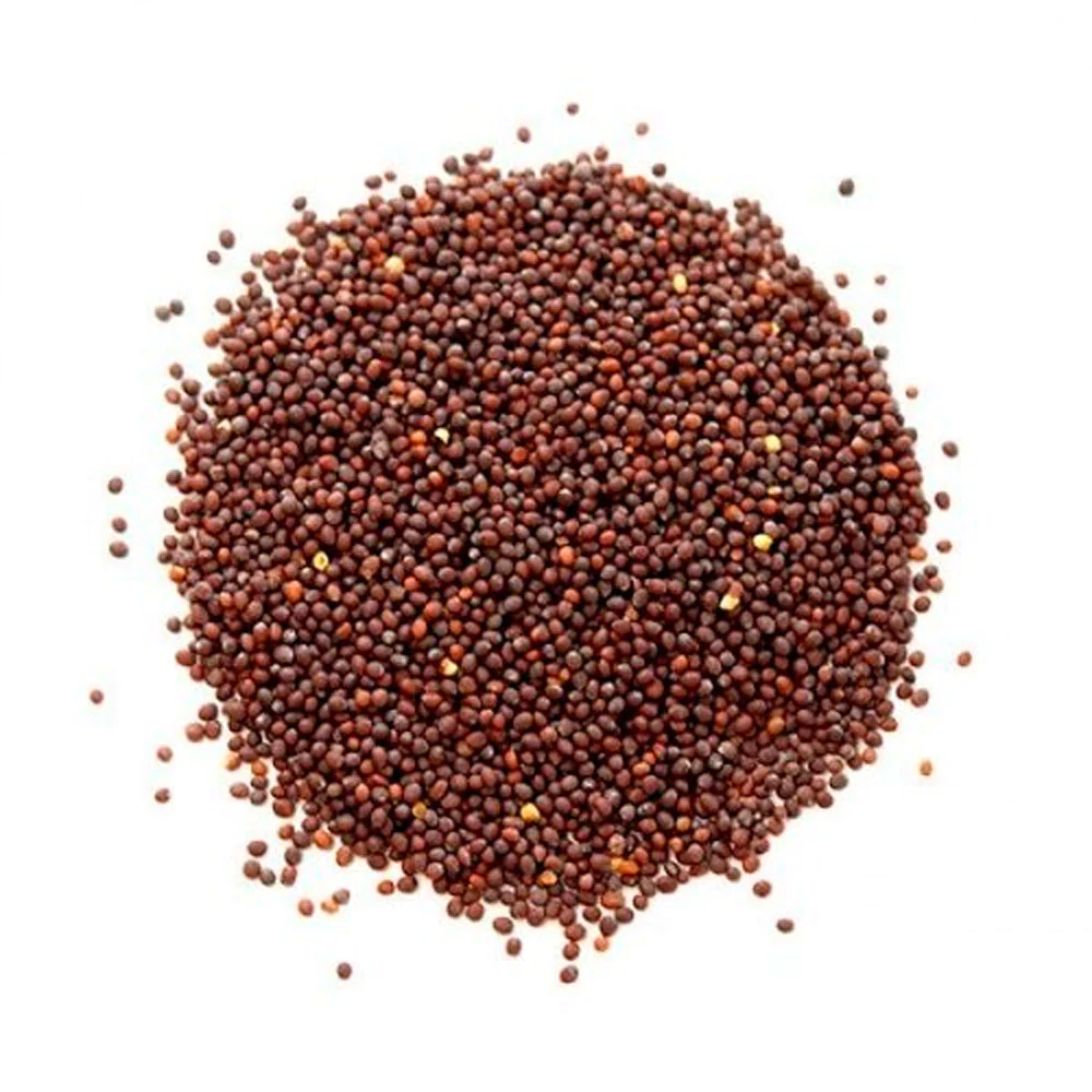 brown-mustard-seeds_1200x1200.jpg