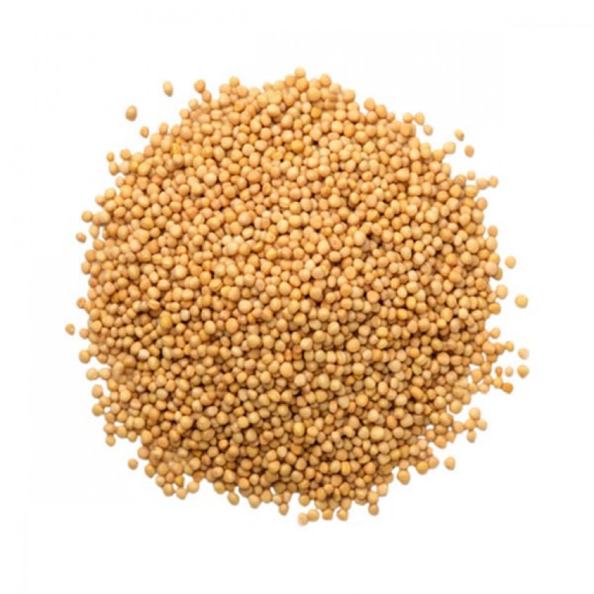 mustard_seed_yellow_100g-850x850
