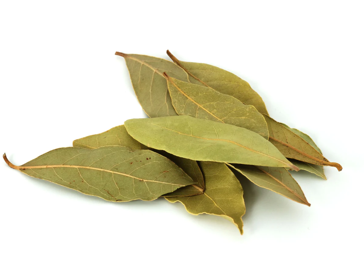 Bay Leaf (Tez Pata)