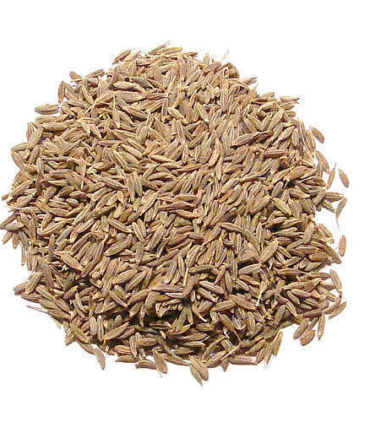 whole-cumin-seeds-500x500